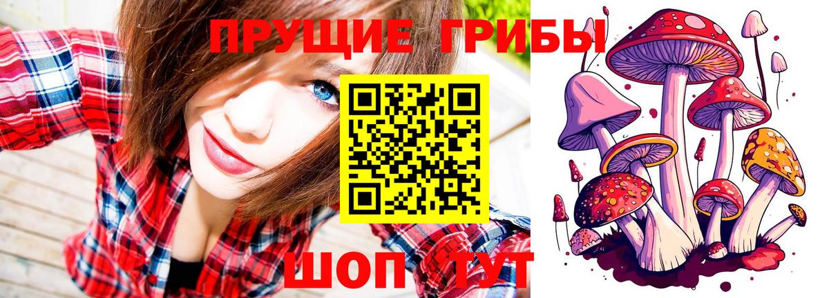 Галлюциногенные грибы GOLDEN TEACHER Чистополь
